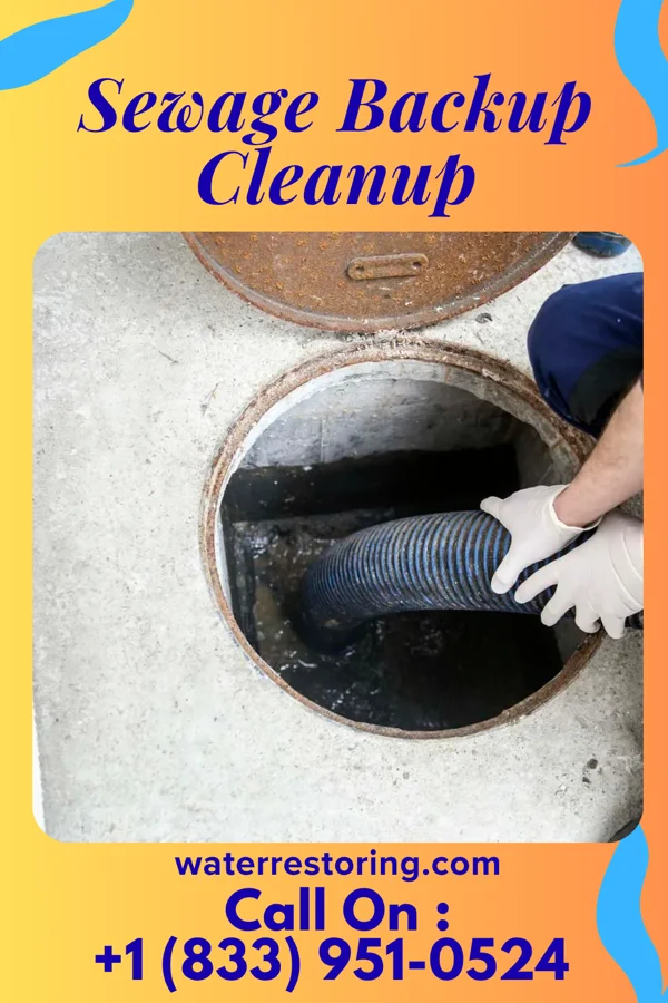 Sewage Backup Cleanup in Cambria, WI
