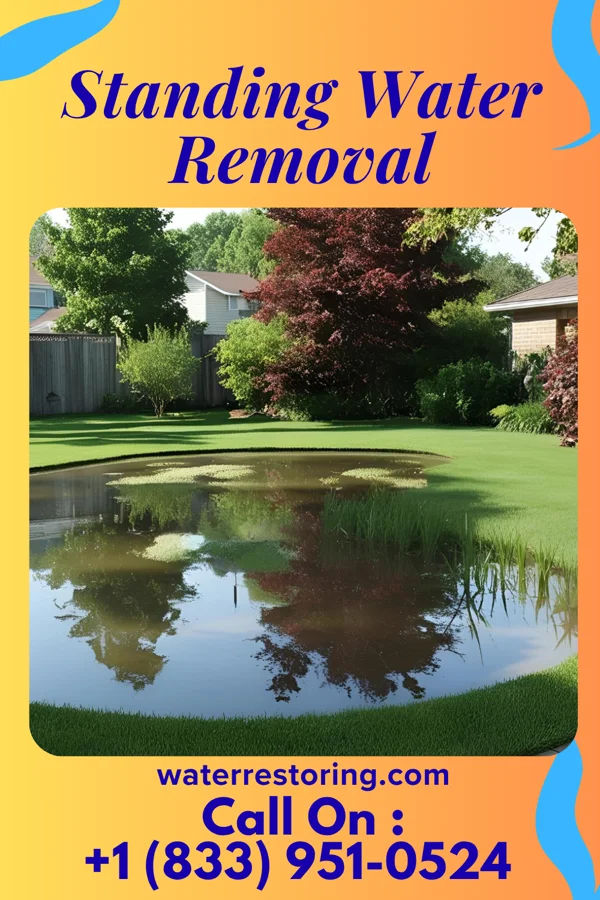 Standing Water Removal in Cambria, WI